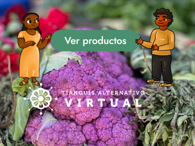 Tianguis Virtual