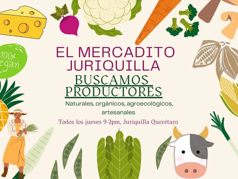 El Mercadito Juriquilla